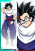 Gohan Body pillow case DRAGON BALL Mitgard-Knight